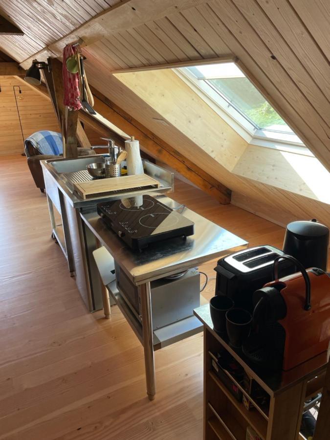 Appartement Mon Refuge En Vasgovie à Meisenthal Extérieur photo